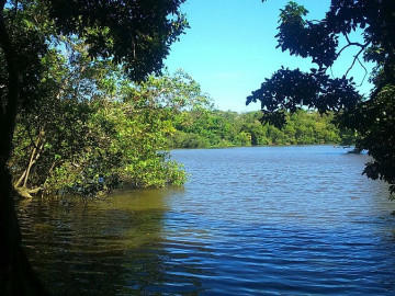 Chácara - Venda - Reserva Sapiranga - Mata de São João - BA